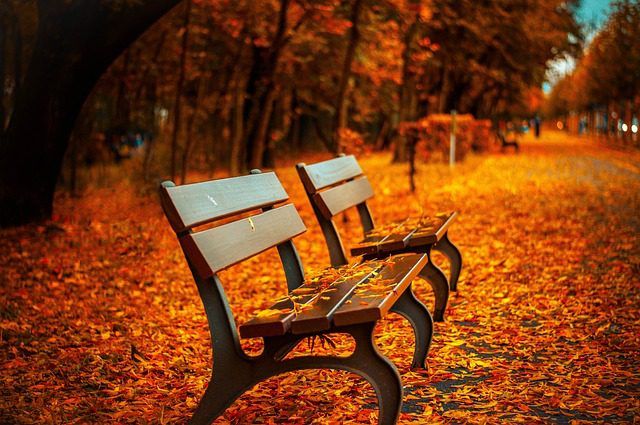 photo of benches in seasonal fluctuations in auto transport