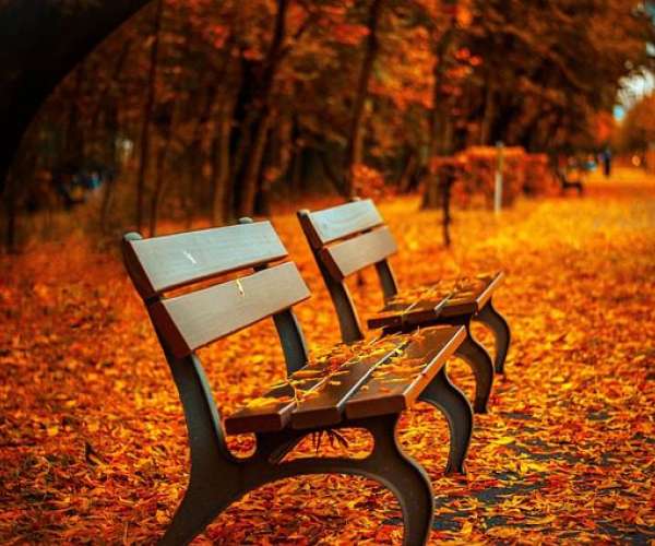 photo of benches in seasonal fluctuations in auto transport