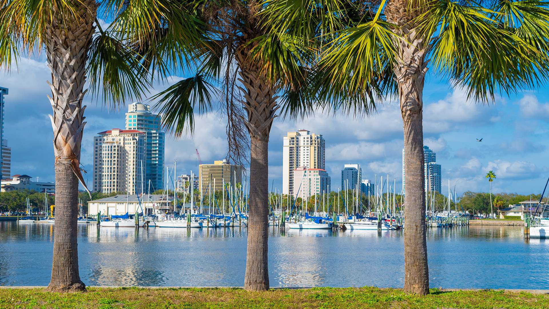 photo of St. Petersburg FL cityscape ship a car